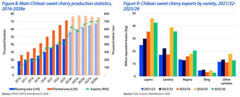 global cherry market 